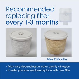 High Performance Omnia Replacement Filter (2pcs) for Be Healthy iBlue Link Portable Shower Pure Water Filter System [Made in Korea] - Home, Travel, Bathroom, Good for Skin, Removes Impurities