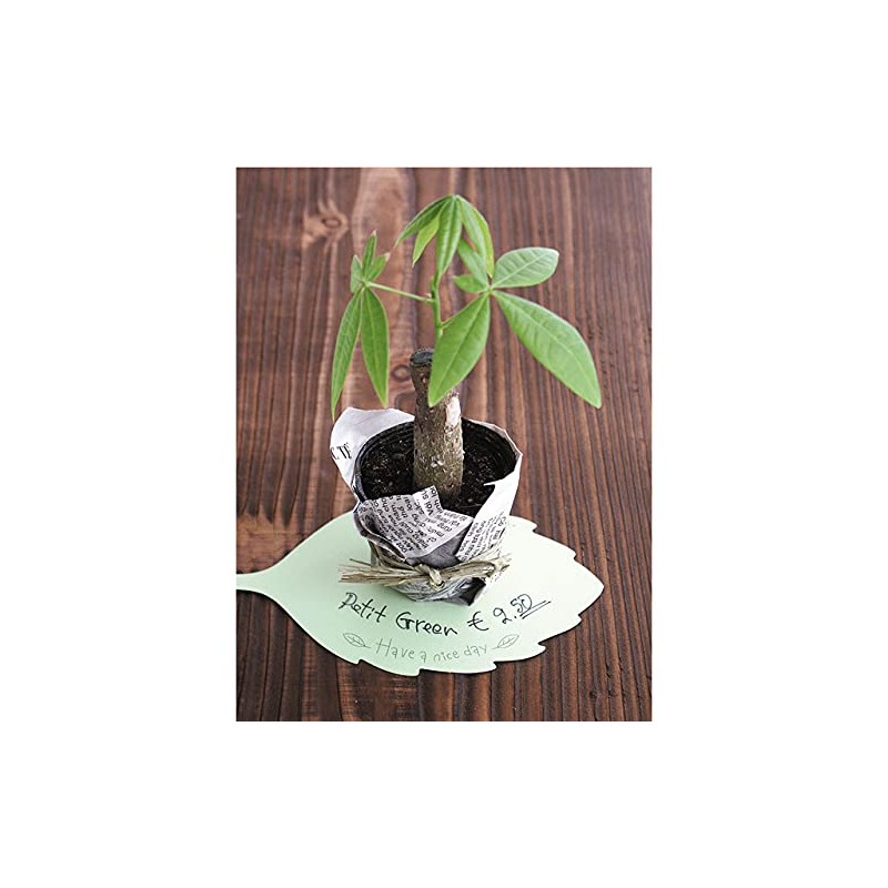 LE-DC1 Message Cards, Die Cut, Leaf-S (30 Pieces)