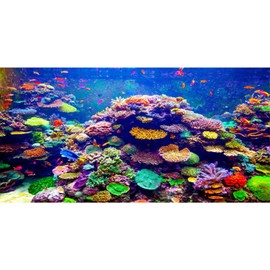 AWERT Undersea Theme Aquarium Background 30x18 inches Vinyl Colorful Coral Tropical Fish Underwater World Fish Tank Background