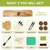 Premium Bonsai Kit,Complete Bonsai Starter Kit with Wooden Gift Box,repotting