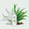 Omia - Non Sapone Eco Bio con Aloe Vera del