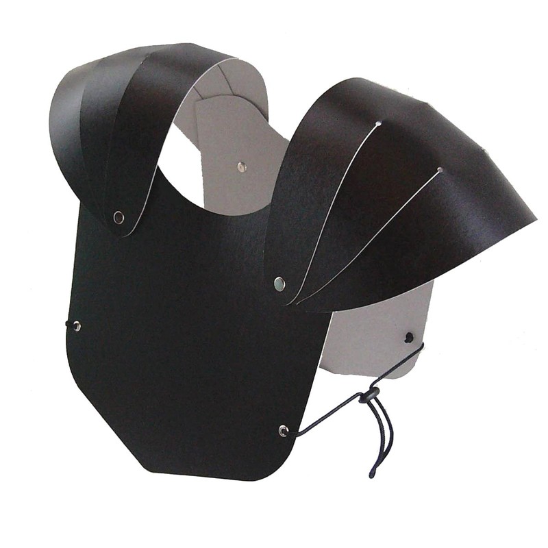 BestSaller Chest Armour for Children, Sturdy Box, Ready Assembled, Colour: