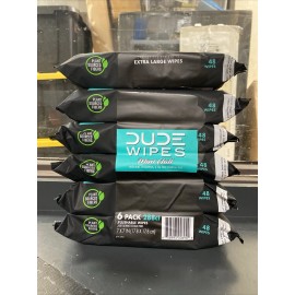 Wipes - Flushable Wipes - 6 Pack, 288 Wipes - Mint Chill Extra-Large Adult We...