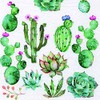 20 Napkins Cacti and Succulents as Table Decoration for Tropical