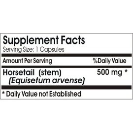 Silica 500mg // 200 Capsules // Pure // by PureControl Supplements