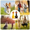2PCS Squeaky Dog Toys, Rubber Chicken, Dog Squeaky Toy, Interactive