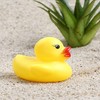 Lezevn Colorful Mini Rubber Ducks Bath Toy Squeak Duck Toy