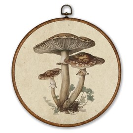 Voxitura Vintage Mushroom Fall Wall Art Round Framed, Rustic Farmhouse Wall Decor Canvas Hanging Living Room, Autumn Botanical Paintings Prints Artwork Decorations for Bedroom Thanksgiving 10x10in
