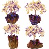 mookaitedecor Citrine & Amethyst Crystal Tree, Quartz Cluster Purple Titanium