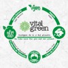 Vital Green Desodorante Cristal Alumbre 100gr (paq 1 Und)