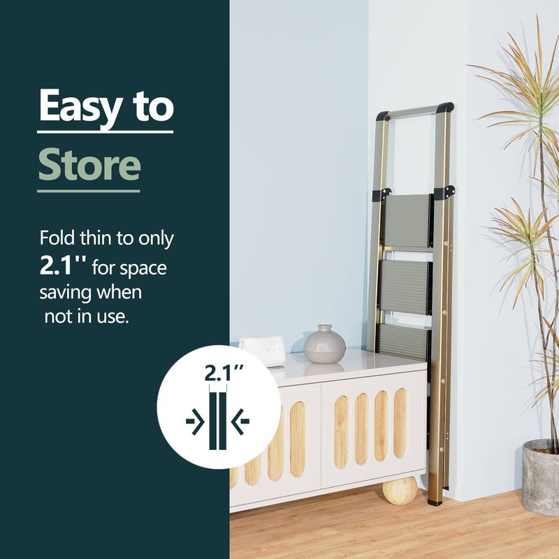 WOA WOA 4 Step Ladder for 10 Feet High Ceiling,