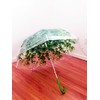 Clear Bubble Umbrella, Green Clear Umbrella, Auto Clear Umbrella, Dome