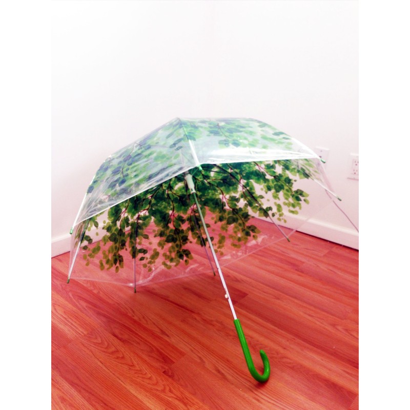 Clear Bubble Umbrella, Green Clear Umbrella, Auto Clear Umbrella, Dome