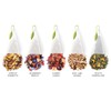 Tea Forte Herbal Retreat Organic Caffeine Free Premium Herbal Tea