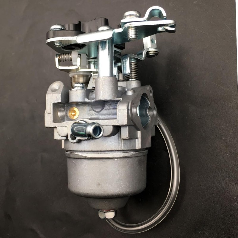 Huayi Carburetor Carb Compatible with Powerhorse M42411K 42411 79CC 1600