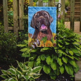 Caroline's Treasures SC9074GF Labrador in Summer Flowers Garden Flag Mailbox Flag Decorative Yard Flag Banner Outside Patio Artwork Yard Flower Beds, Garden Size, Multicolor