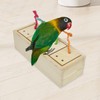AIMALL Parrot Foraging Toys Educational Training Exercise Bite Toys |