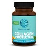 etc Sunwar Leader Collagen Protector -- 30 Vegetable Capsules / 썬워리더 콜라겐 프로텍터 -- 30 식물성캡슐