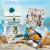 Sea Shells Mixed, 80 pcs Natural Seashells, 2-9 cm Shells