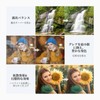 NEEWER 67mm 3 in 1 Variable ND Filter + CPL+