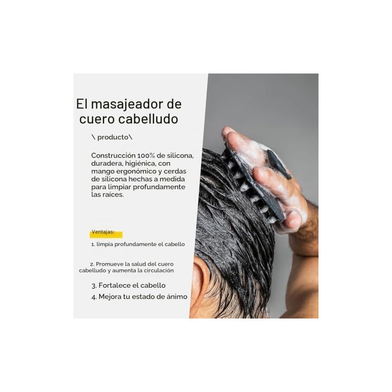 Juego de Cepillos Corporales SQLMTAU SQL-156 con Mango Largo y