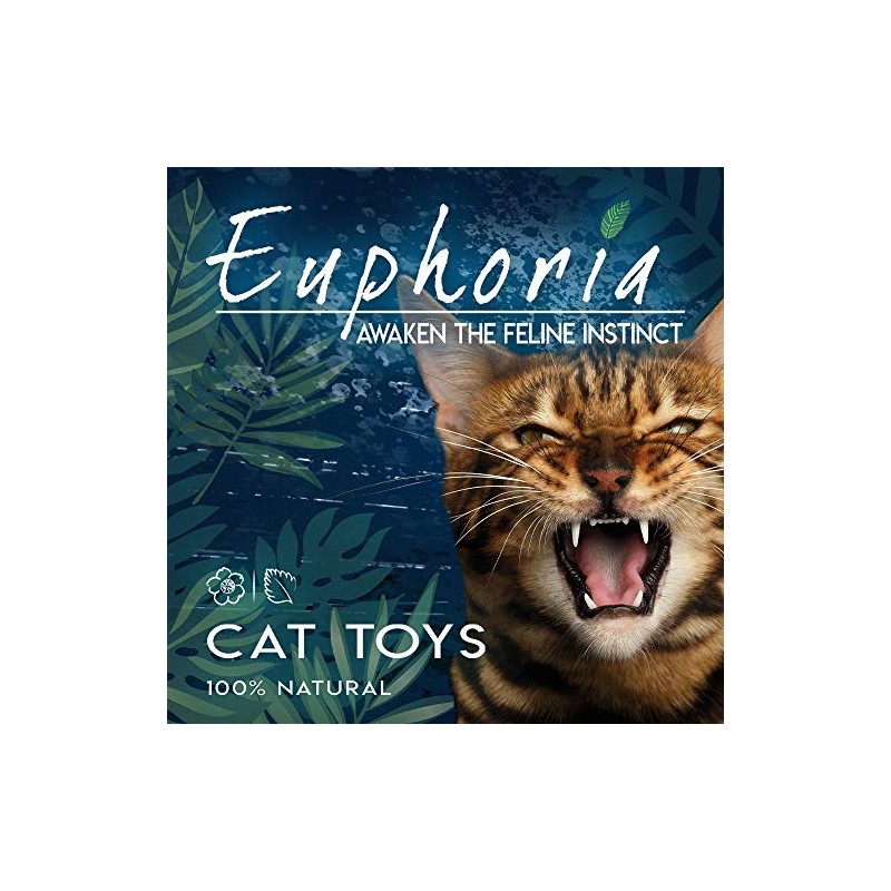 Croci Euphoria Lollipop Catnip/Silvervine Edible Catnip & Silvervine Cat Toy