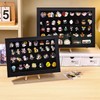 IONPSHG Large Enamel Pin Display Case, 14x9.5 Inch Dustproof Organizer