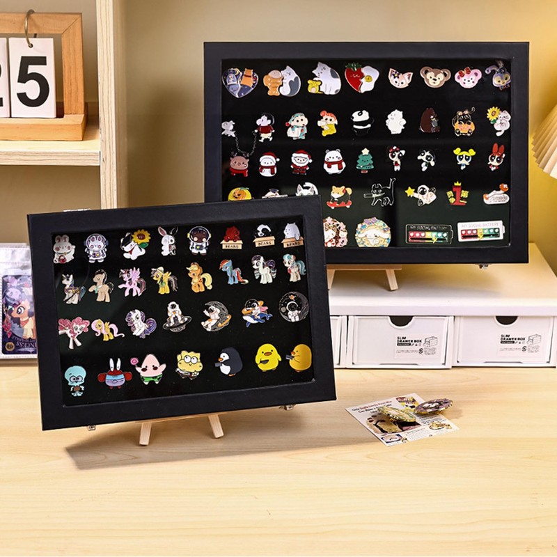 IONPSHG Large Enamel Pin Display Case, 14x9.5 Inch Dustproof Organizer