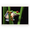 Lantern Press Tree Frog (52 Playing Cards, Poker Size Card