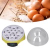 7 Eggs Incubator Easy Temperature Control Mini Egg Incubator for