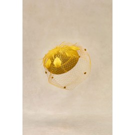 BABEYOND Fascinator Hat Veil Feather Fascinators Hair Clip Tea Party Pillbox Derby Hat Fascinator Bridal Wedding Golden