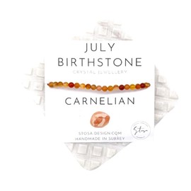 Birthstone Bracelet - Birthstone Crystal Bracelet - Paper Clip Chain Bracelet - Adjustable Birthday Bracelet Handmade by Stosa Design (July - Carnelian)