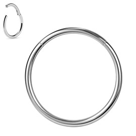 BodyAce 1pc Titanium Hoop Rings for Piercings, Helix Tragus Earrings Hoop Nose Rings 20G 18G 16G Lip Rings, Stainless Steel Sleeper Hinged Huggie Hoops (Silver, 20G, Hoops:10mm)