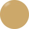 PRESTO Color Gel Brush-on Color Gel 234 0.4 oz (10
