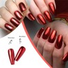 2 Boxes Red Chrome Nail Powder 3D Mirror Effect Aurora