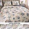 Coastal Quilts Queen Size, 3-Piece Starfish Shell Pattern Queen Beach