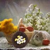 100PCS Colorful Foam Eggs Easter Egg Ornaments Crafts Birds Eggs