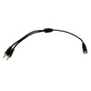 Seadream 2.5mm Audio Splitter Cable, Female to Dual Male,TRRS Y