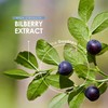 Bilberry Extract 7500mg - Potent 25% Anthocyanidins from 50:1 Vaccinium