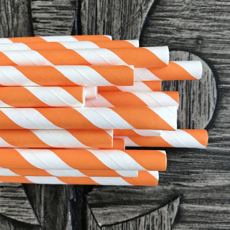 Stripe Paper Straws - Party Supply - Orange White -