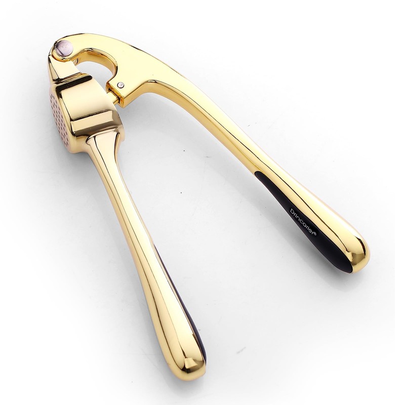 Drincarier Premium Garlic Press, Professional Garlic Mincer, Easy to Squeeze