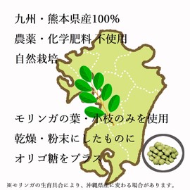 モリンガ 熊本県産 モリンガ１００%使用 粒 無農薬 オリゴ糖配合 タブレット パウダー サプリ スーパーフード 120粒 国産 ミラクルツリー (３袋)