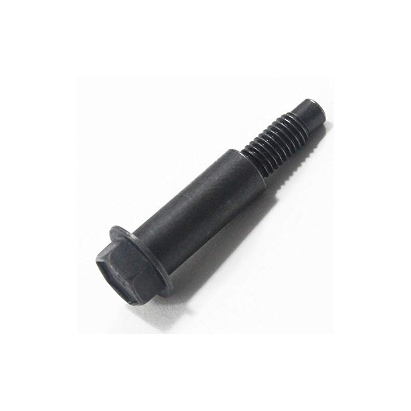 Briggs & Stratton Replacement Screw