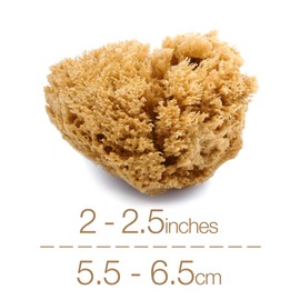 IntimateCare Sea Sponges. Mediterranean Sea Sponges in Plastic Free Packaging. Absolute Quality. (Natural Brown, 3X 5.5-6.5cm / 2-2.5in’)