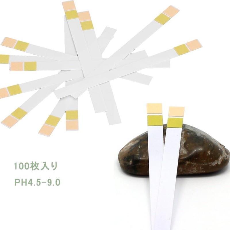 KALOLINNA pH Test Paper, 100 Sheets Litmus Test Paper, 0.25