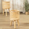 Woven Flower Pot Faux Rattan Planter High Living Room Floor