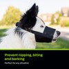 Premier Pet Dog Muzzle - Safely Reduces Biting & Barking
