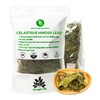 Celastrus Hindsii Leaf Tea - Re-Steep Pure Whole Leaves Vacuum