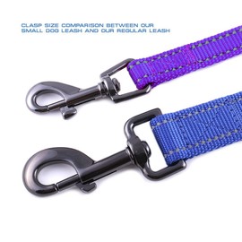 Max and Neo Small Dog Reflective Nylon Dog Leash - We Donate a Leash to a Dog Rescue for Every Leash Sold (Purple, 6x5/8)