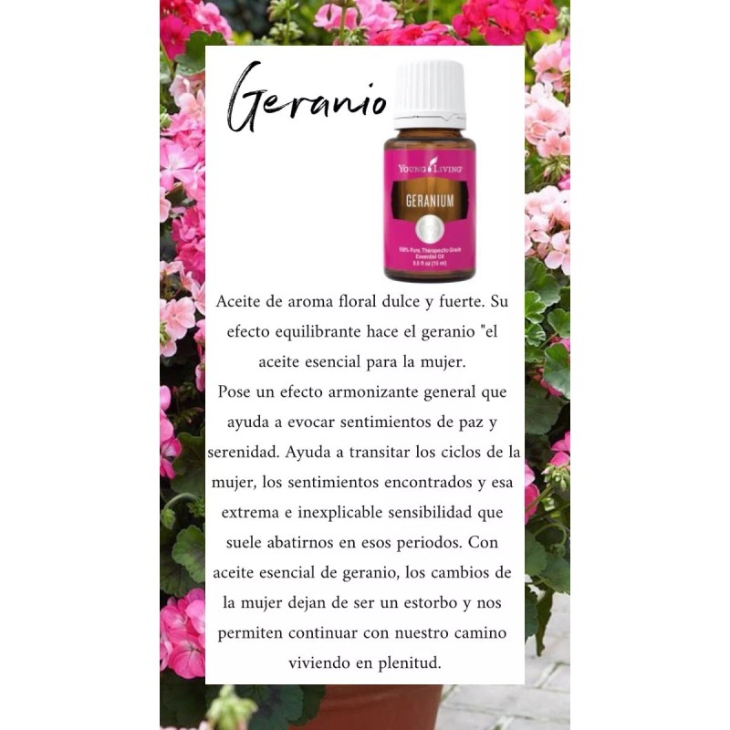 Young Living Aceite Esencial Para Difusor De Geranio Young Living